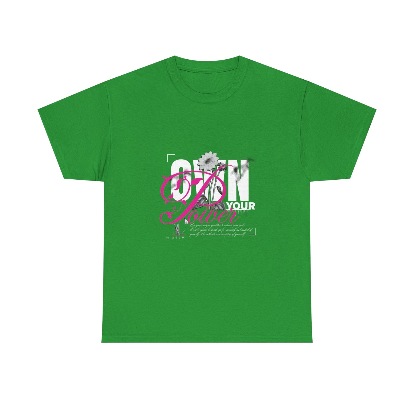 Unisex Heavy Cotton Tee - Own Your Power