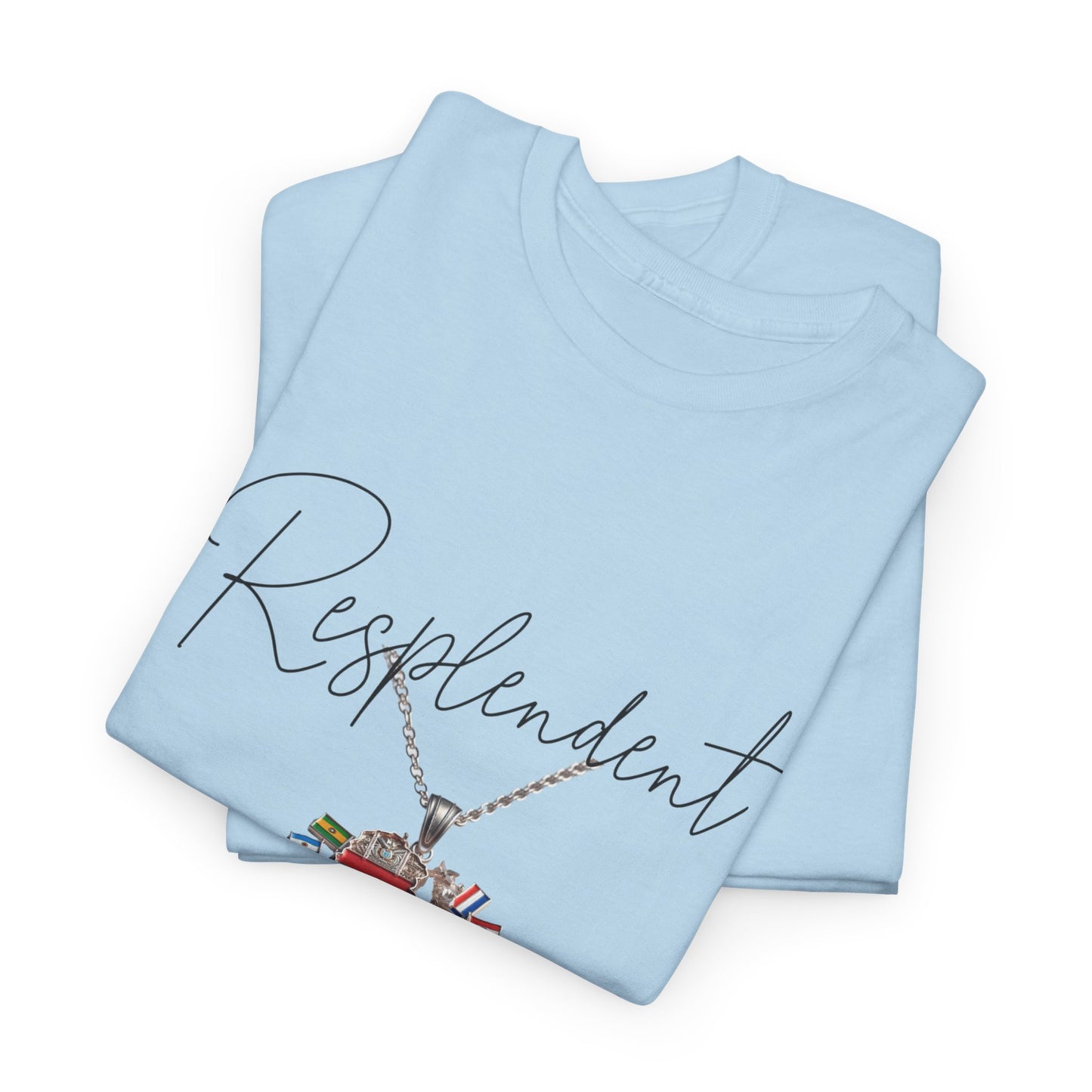 Unisex Heavy Cotton Tee - Resplendent