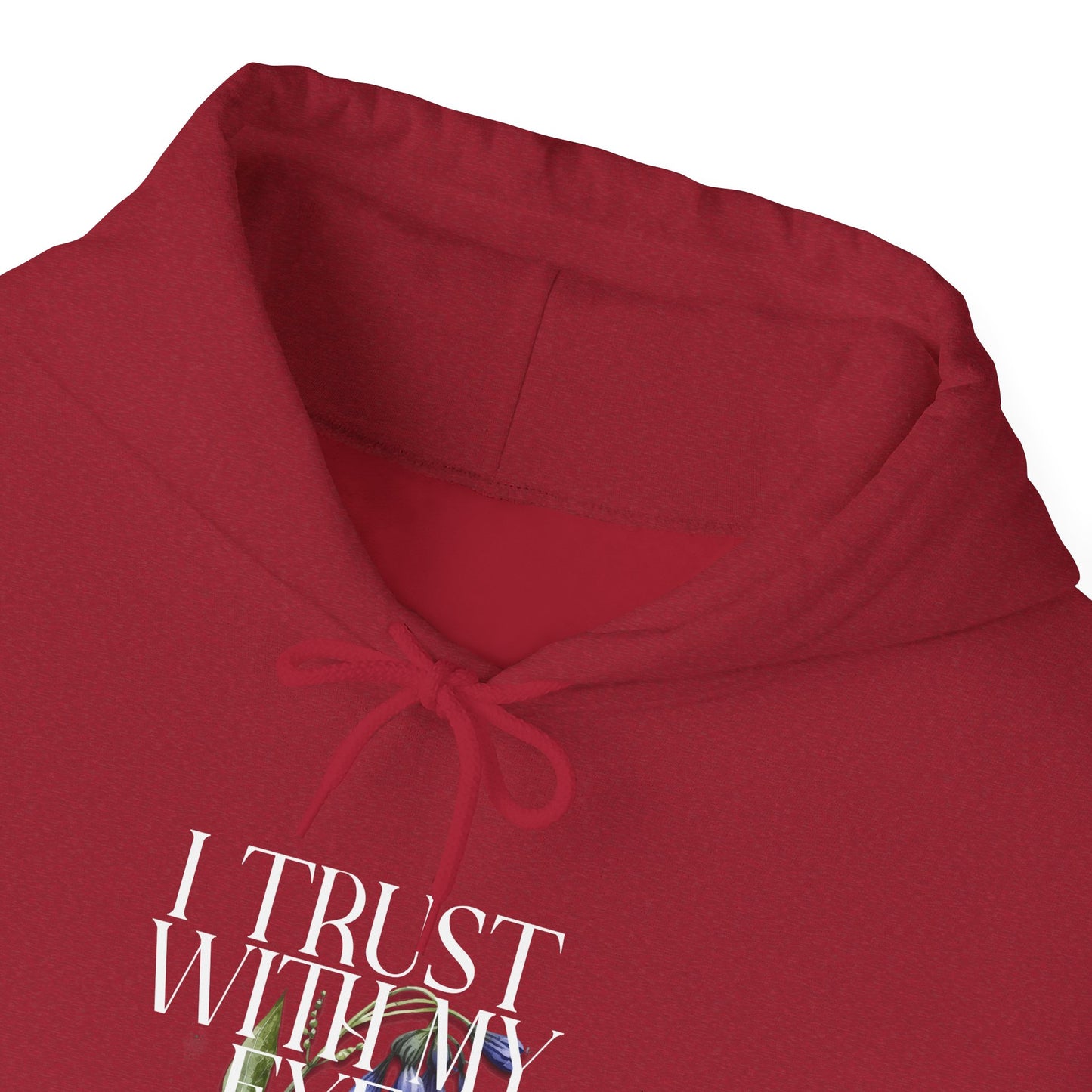 Unisex Heavy Blend™ Hooded Sweatshirt - I Trust With My Eyes Not My Ears