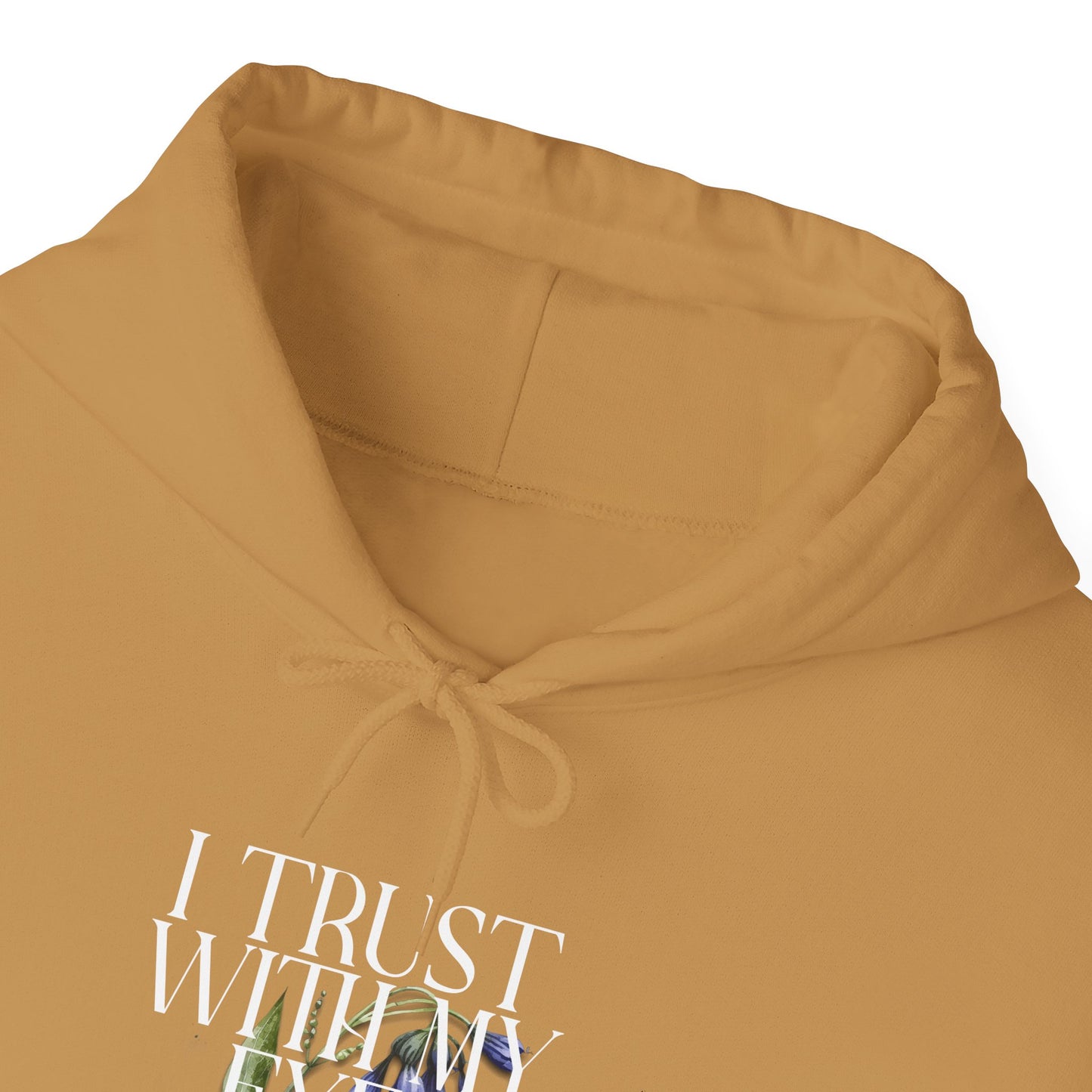 Unisex Heavy Blend™ Hooded Sweatshirt - I Trust With My Eyes Not My Ears