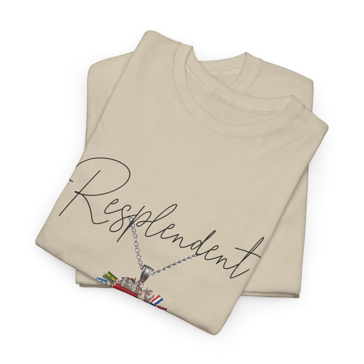 Unisex Heavy Cotton Tee - Resplendent